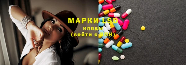 трава Белокуриха