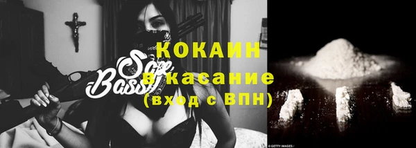 трава Белокуриха